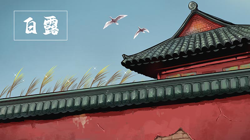 白露800-2.jpg 白露800-2.jpg