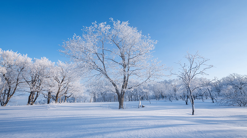 冰雪.jpg 冰雪.jpg