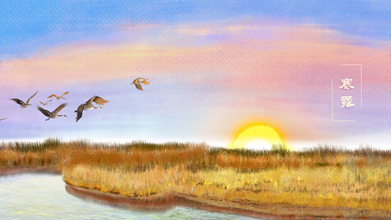寒露节.jpg 寒露节.jpg
