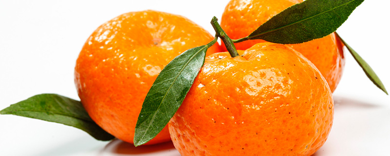 砂糖橘1.jpg