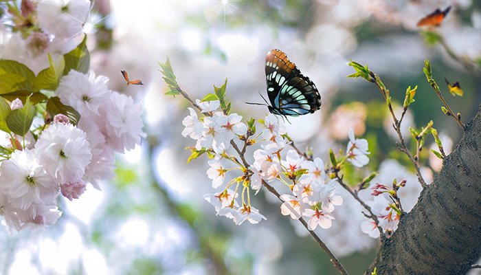 春暖花开.jpg