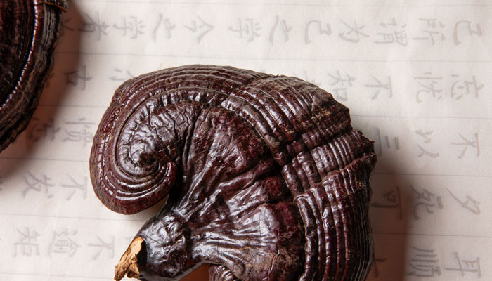 灵芝2.jpg 灵芝2.jpg