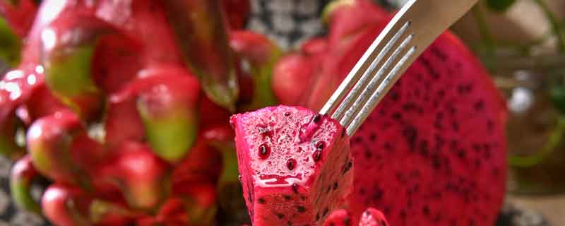 火龙果1.jpg 火龙果1.jpg