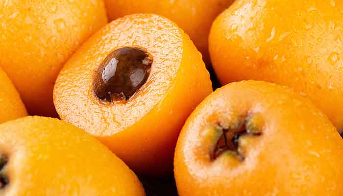 枇杷2.jpg 枇杷2.jpg