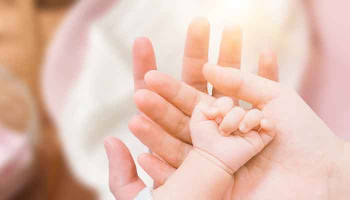 母爱2.jpg 母爱2.jpg