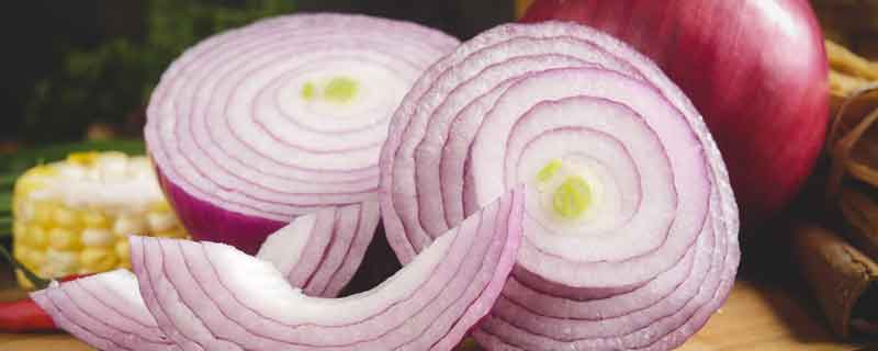 洋葱1.jpg 洋葱1.jpg
