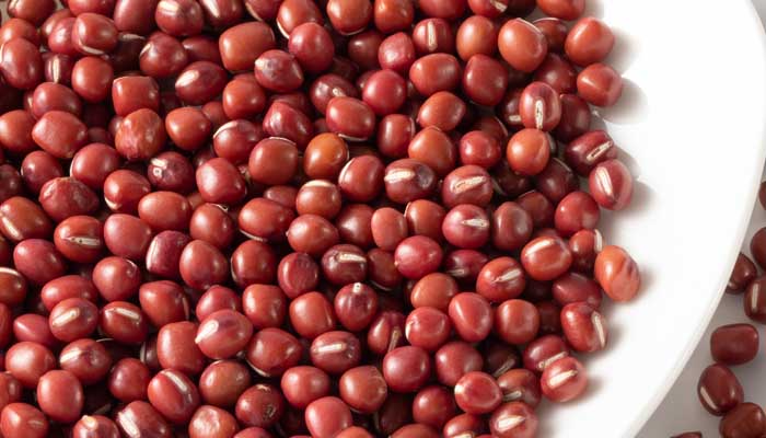 红豆2.jpg 红豆2.jpg