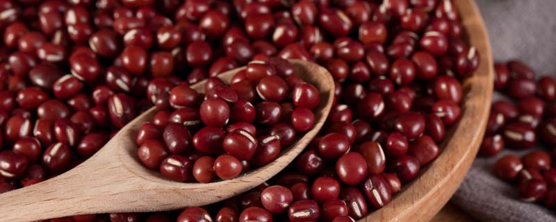 红豆1.jpg 红豆1.jpg