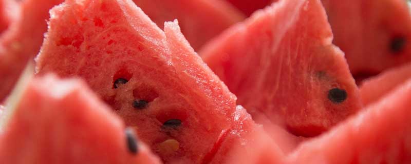 西瓜1.jpg 西瓜1.jpg