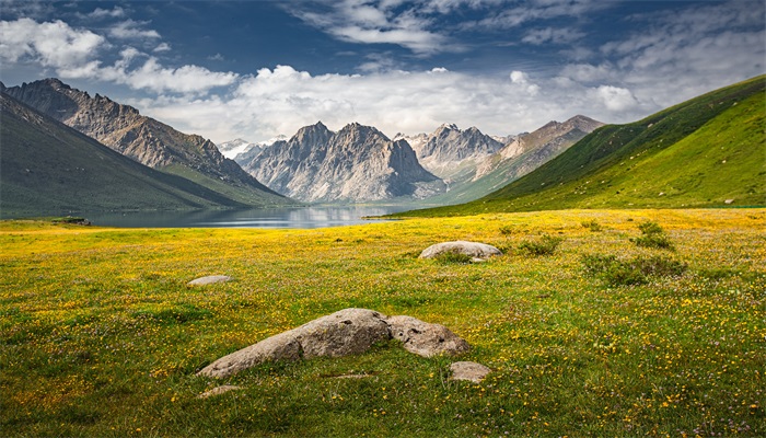 摄图网_500745090_banner_青海年保玉则深山花海（企业商用）.jpg