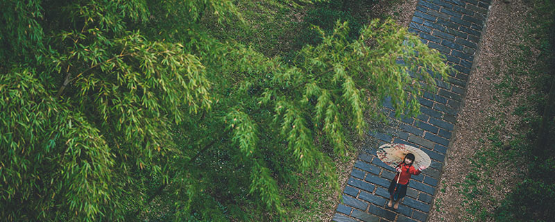 雨-12-9.jpg 雨-12-9.jpg