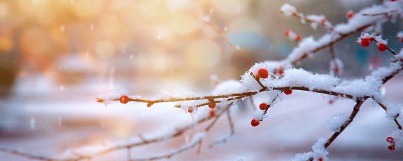 雪12.jpg 雪12.jpg