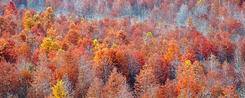 红树林3.jpg 红树林3.jpg