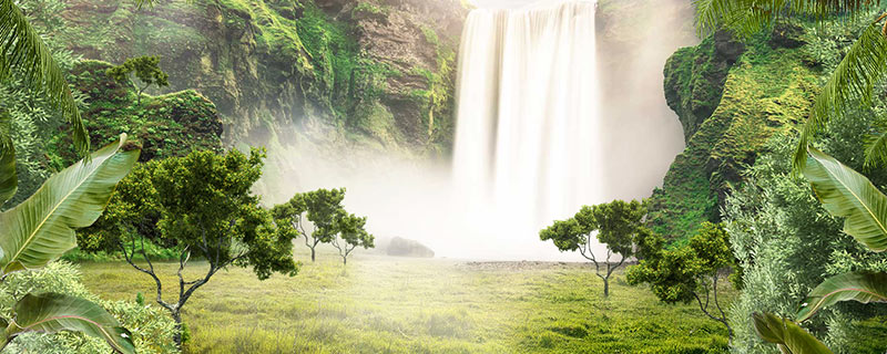 绿植2.jpg 绿植2.jpg