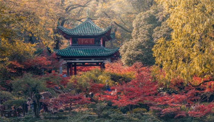 摄图网_501574551_banner_长沙岳麓山爱晚亭秋景（企业商用）(1).jpg