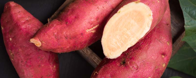 红薯1.jpg 红薯1.jpg