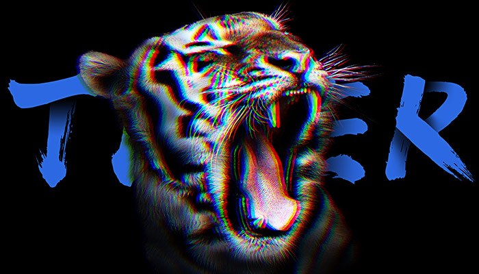 老虎-51.jpg 老虎-51.jpg