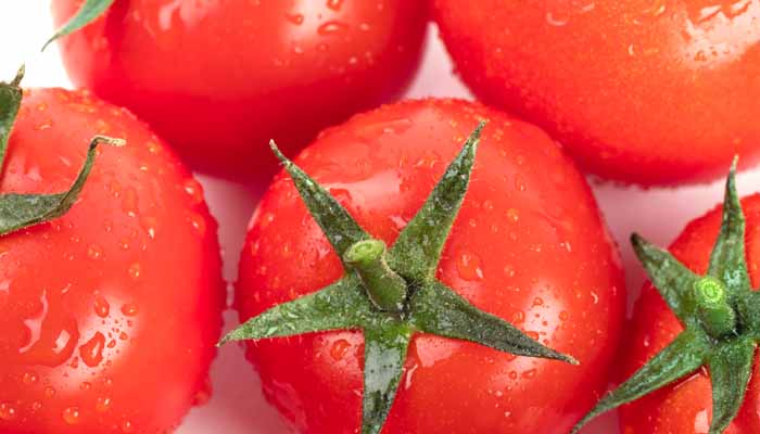 西红柿2.jpg 西红柿2.jpg