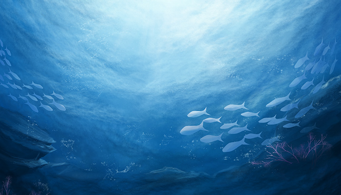 海洋--1.jpg