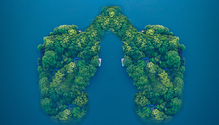 海洋--14.jpg 海洋--14.jpg