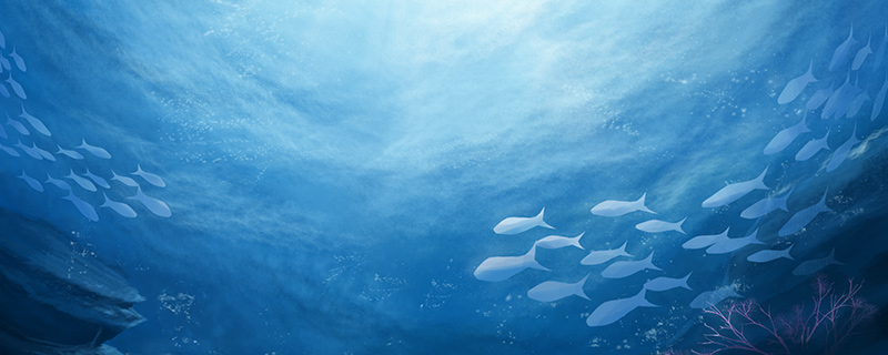 海洋-1.jpg