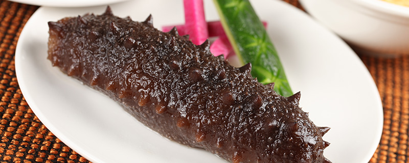 海参--19.jpg 海参--19.jpg