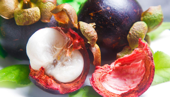 山竹2.jpg 山竹2.jpg