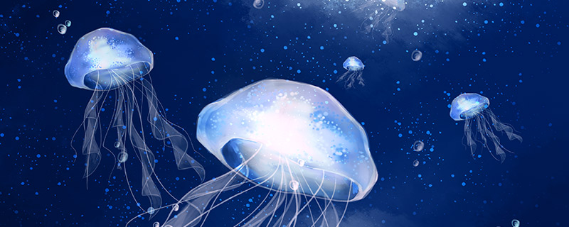 水母1.jpg 水母1.jpg