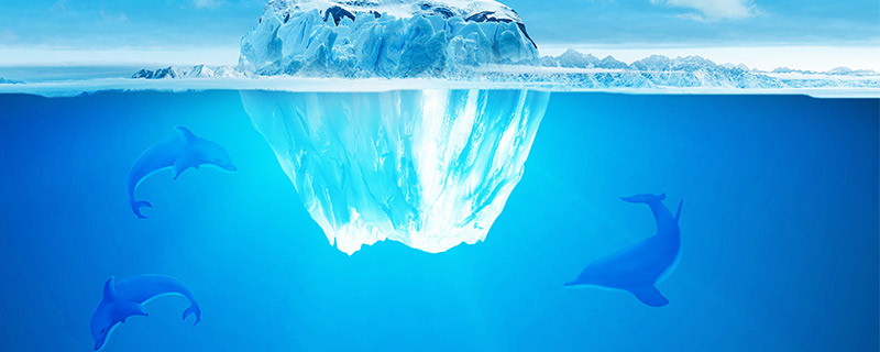 海豚1.jpg 海豚1.jpg