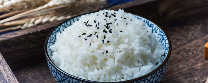 米饭1.jpg 米饭1.jpg