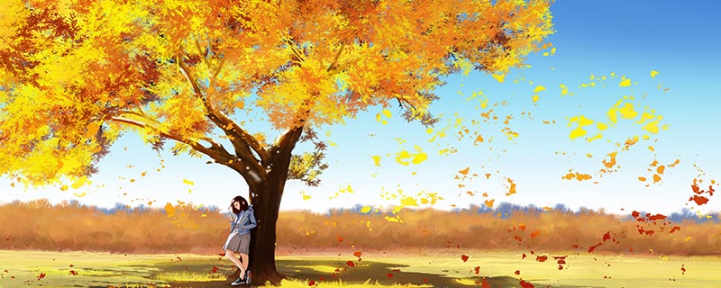 树木-11.jpg 树木-11.jpg