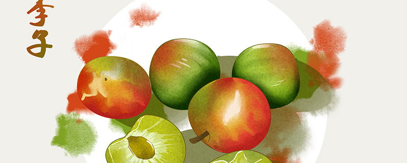 李子--1.jpg