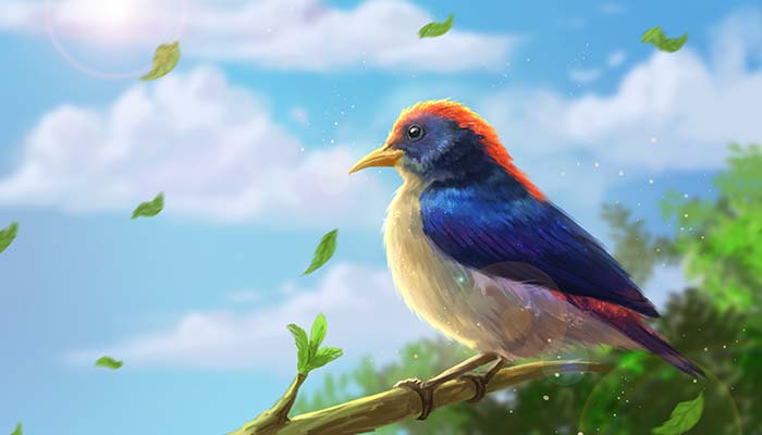 鸟-6.jpg 鸟-6.jpg