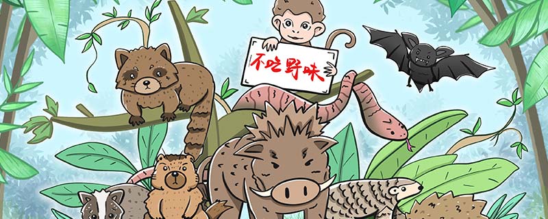 蝙蝠5.jpg 蝙蝠5.jpg