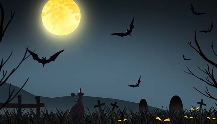 蝙蝠1.jpg 蝙蝠1.jpg