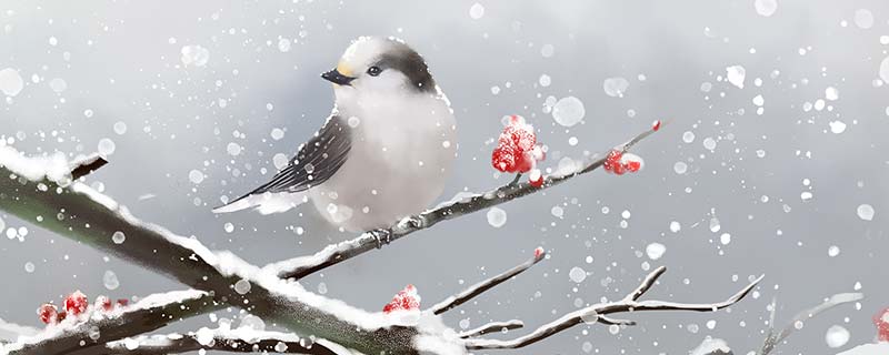 鸟---4.jpg 鸟---4.jpg