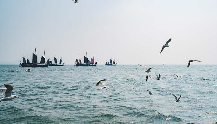 鸟----14.jpg 鸟----14.jpg