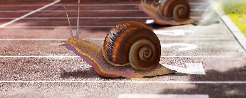 蜗牛8.jpg 蜗牛8.jpg