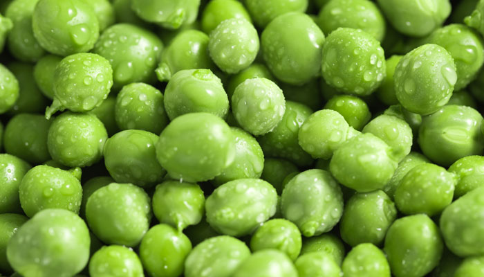 豌豆粒2.jpg 豌豆粒2.jpg