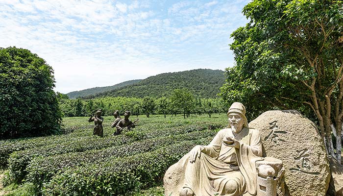绿茶-36.jpg
