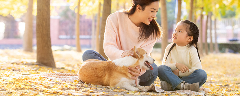 狗狗19.jpg 狗狗19.jpg