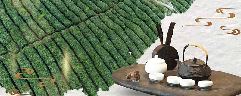 绿茶-1.jpg 绿茶-1.jpg
