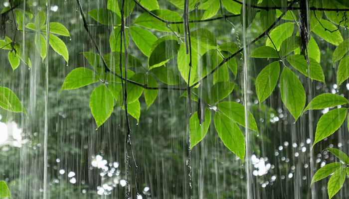 雨111.jpg 雨111.jpg