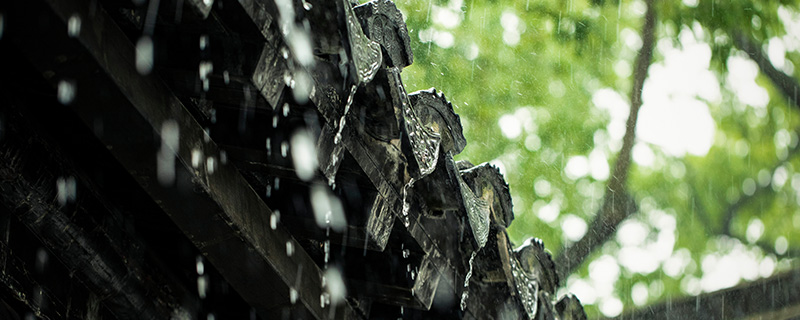 下雨前小动物们都有哪些表现呢 下雨过后小动物们会怎么样