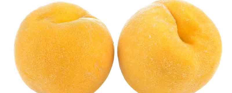 黄桃9.jpg