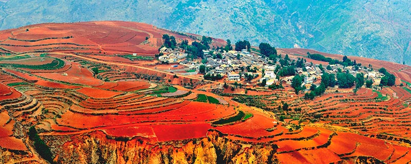 又称红壤,土壤含铁,铝成分较多,有机质少,酸性强,土质黏重,是我国南方