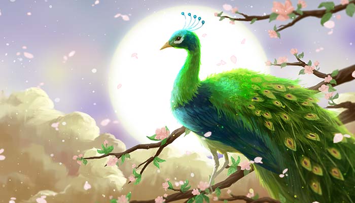 鸟中皇后什么鸟 - 阅品美食